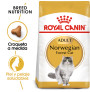 Royal canin norwegian forest gatos