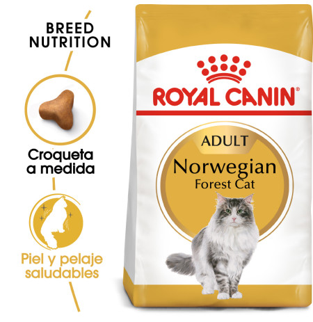 Royal canin norwegian forest gatos