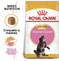 Royal canin kitten maine coon
