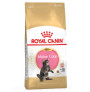 Royal canin kitten maine coon