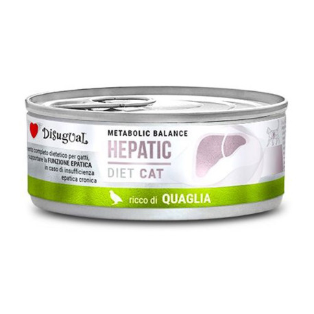 Disugual cat hepatic codorniz latas para gatos con hepatitis
