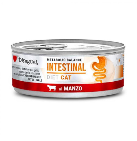 Disugual cat intestinal buey latas para gatos
