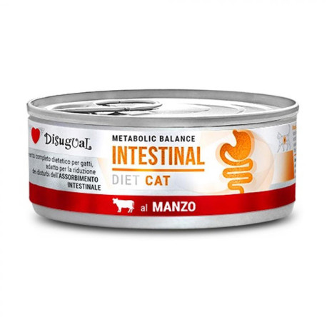 Disugual cat intestinal buey latas para gatos