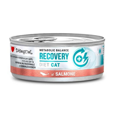 Disugual cat recovery salmón latas para recuperación de gatos