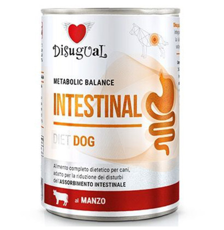Disugual intestinal buey latas para perros