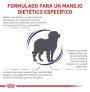 Royal canin adult large dog para perros