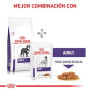 Royal canin adult large dog para perros