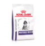 Royal canin neutered junior medium dog para cachorros