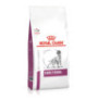 Royal canin early renal para perros