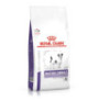 Royal canin mature small dog para perros mini