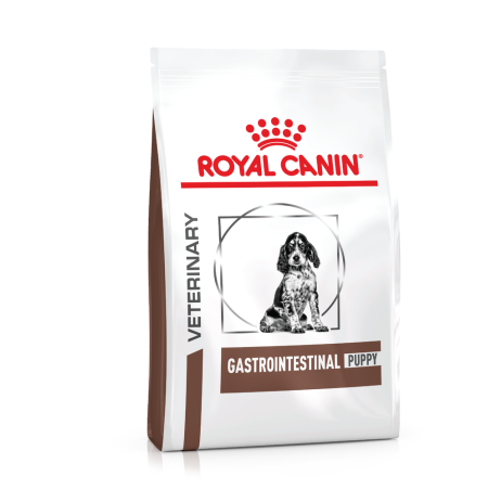 Royal canin canine gastro intestinal junior para perros