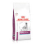 Royal canin canine renal special para perros