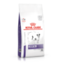 Royal canin canine dental special small dog para perros mini