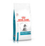 Royal canin hypoallergenic Puppy para cachorros