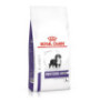 Royal canin neutered junior large dog perros cachorros
