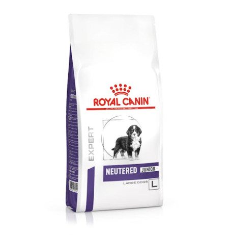 Royal canin neutered junior large dog perros cachorros