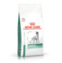 Royal canin diabetic para perros con diabetes