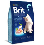 Brit premium cat kitten chicken para gatitos