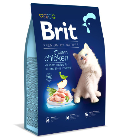 Brit premium cat kitten chicken para gatitos