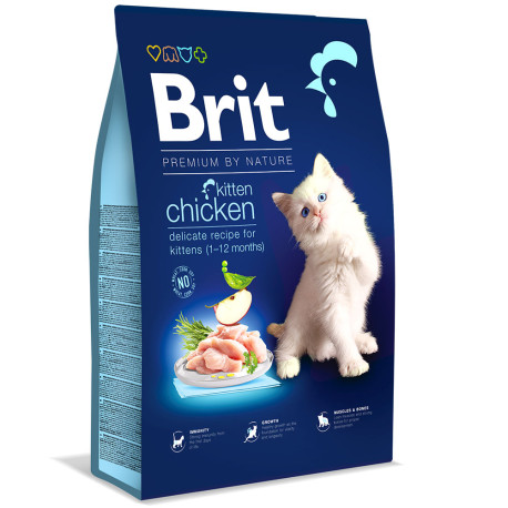 Brit premium cat kitten chicken para gatitos