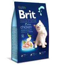 Brit premium cat kitten chicken para gatitos
