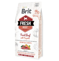 Brit fresh beef & pumpkin puppy large para cachorros raza grande