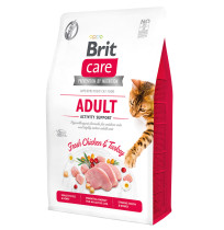 Brit care cat gf adult activity support para gatos