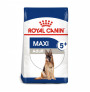 Royal canin maxi adult +5 para perros