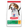 Hill's science plan canine puppy medium pollo