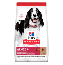 Hill's science plan canine adult medium cordero & arroz