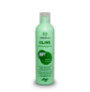 Nogga Omega Olive Shampoo en botella de 250ml