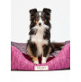 Vista Frontal de perro modelo sentado en Liu·Jo cama cuccia monogram color rose/animalier