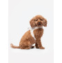 Vista lateral del arnés con perro modelo Liu·Jo Arnés Big monogram color Caramel Lux para perros grandes 