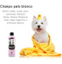 Especies de perros aptos para uso de Petuxe Champú Blanqueador para perros y gatos (Bichón maltés, russel, westy, etc))