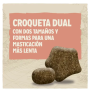 Tamaño y forma de los 2 tipos de croqueta del pienso Dog chow sensitive de salmón para perros