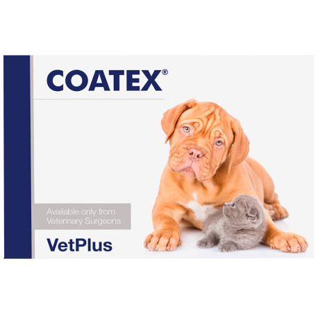 Coatex Cápsulas para perros y gatos
