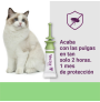 Pipeta contra Pulgas Vectra Felis Pipetas antiparasitarias para gatos
