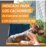FrontPro está indicado también para cachorros a partir de 8 semanas de edad y peso mínimo de 2Kg