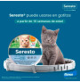 El collar seresto para gatos se puede colocar en gatitos o kittens de apartir 10 semanas de edad